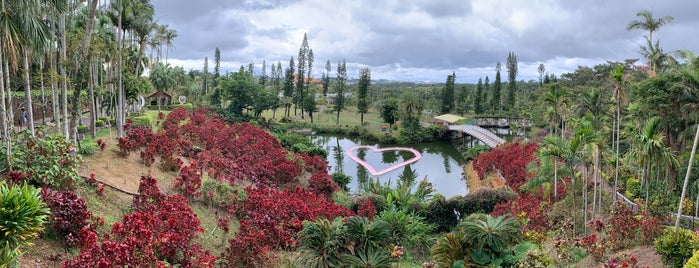 Southeast Botanical Gardens is one of Lieux qui ont plu à Yarn.
