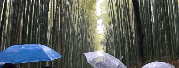 Arashiyama Bamboo Grove is one of Yarn’s Liked Places.