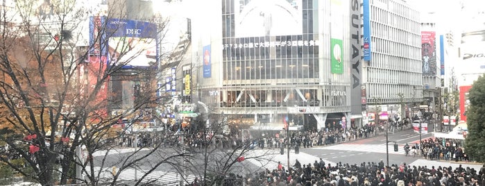 Shibuya Crossing is one of Locais curtidos por Yarn.