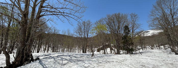 月山 is one of 日本の🗻ちゃん(⌒▽⌒).