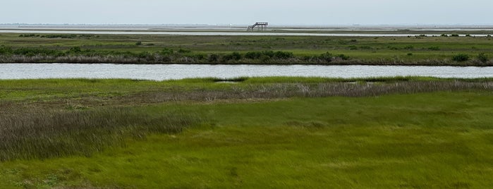 Galveston Island State Park is one of 20 Places Not to Miss on Galveston Island.