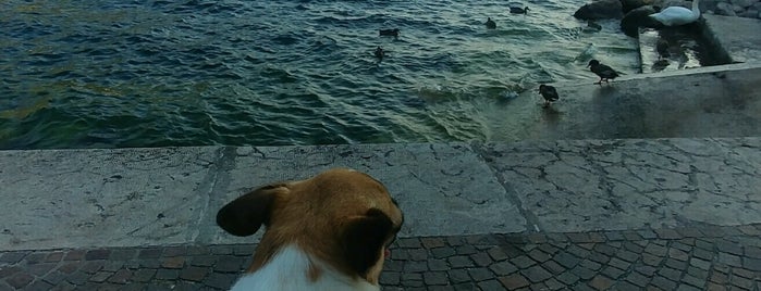 Spiaggia di Torbole is one of Bolzano-dro tra ciclabili, musei e teatro.