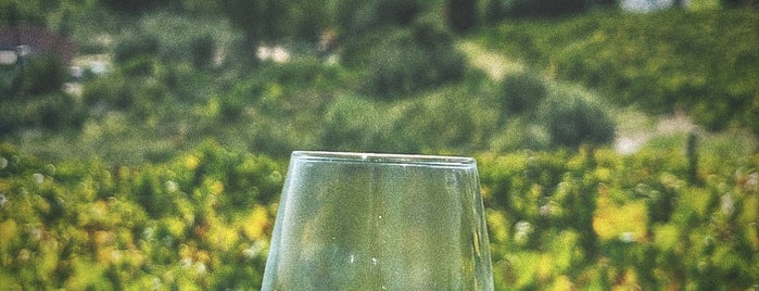 Κτήμα Γ. Κοκοτού is one of wineries & wine spots.