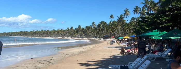 Praia da Cueira is one of Boipeba.