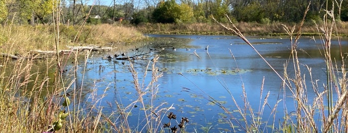 Cherokee Marsh is one of Wisconsin to-do list.