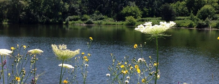 Loyola University Retreat and Ecology Campus (LUREC) is one of Lieux qui ont plu à Shawn.