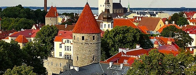 Patkuli vaateplatvorm is one of Estonia To Do (August 2014).
