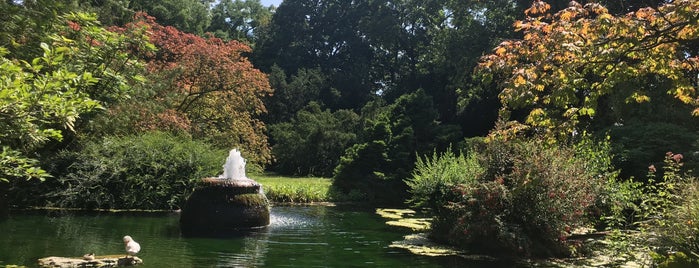 Japanischer Garten is one of Lets explore the world.