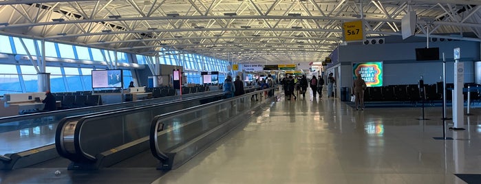American Airlines Ticket Counter is one of Carla : понравившиеся места.