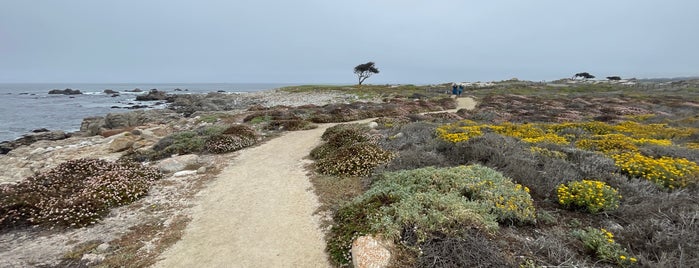 Pebble Beach Walking Trail is one of 17 Mile Drive.