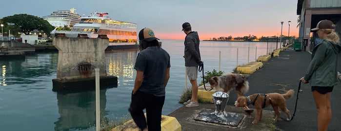 Port of Honolulu is one of Hawai'i Essentials.