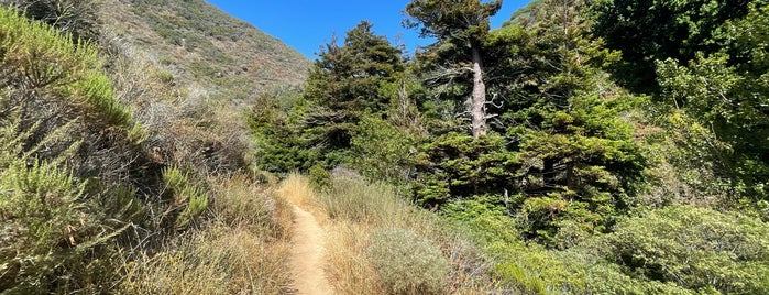 Garapata Beach Soberanes Trail is one of Bay Area Favorites/To-Gos 2.