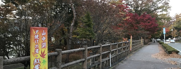 山中湖 マリモ通り is one of その他.
