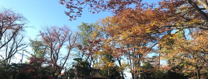 愛宕公園 is one of All-time favorites in Japan.