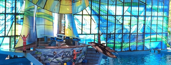 World Of Azul is one of SeaWorld San Antonio.