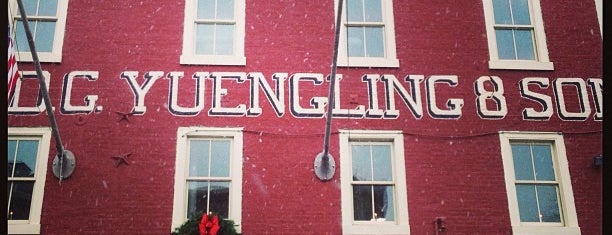 D.G. Yuengling and Son is one of Breweries.