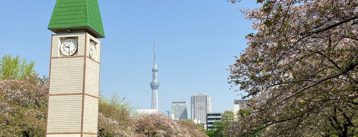 Sarue Onshi Park is one of Tokyo - II (Sumida/Taito/Koto, etc.).