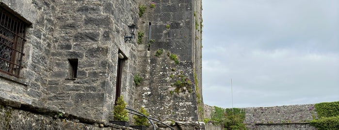 Dunguaire Castle is one of Galway.