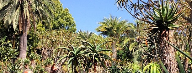 Lotus Land is one of Santa Barbara.