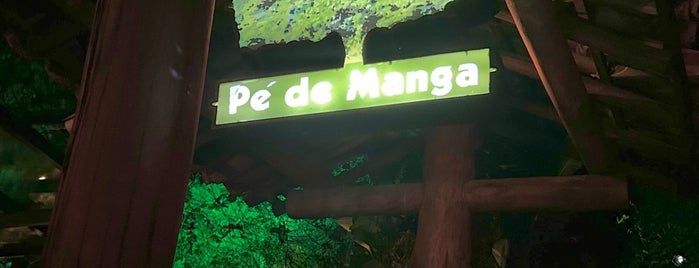 Pé de Manga is one of Locais salvos de Ciba.