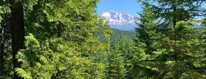 Gifford Pinchot National Forest is one of Parks.