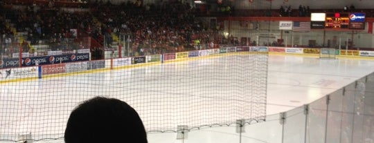 Lynah Rink is one of College Hockey Rinks.