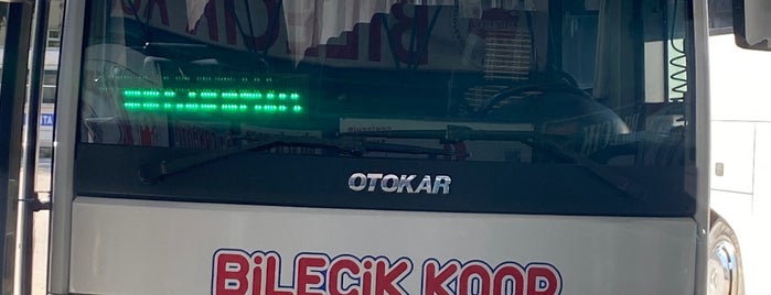 Bilecik Şehirlerarası Otobüs Terminali is one of Mustafa Çağri : понравившиеся места.