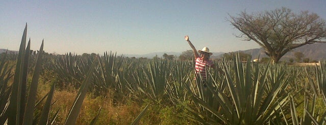 Mundo del Tequila is one of Posti salvati di Kimmie.