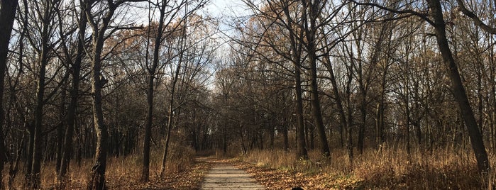 White Oak Trail is one of Cook County Woods.