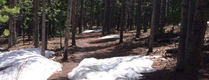 Baker's Tank Trailhead is one of Breckenridge, CO.