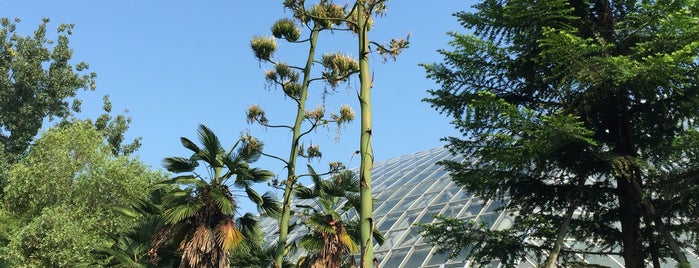 Kyoto Botanical Garden is one of Japan.