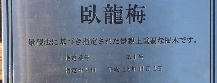 普光寺 臥龍梅 is one of 観光4.