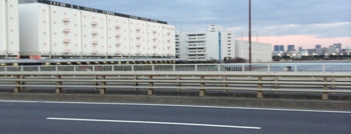 大和大橋 is one of 環状七号線（環七）.