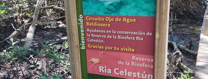 Reserva de la Biosfera Ría Celestún is one of Yucatan.