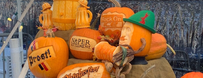 Naper Settlement is one of Naperville To-Do List.