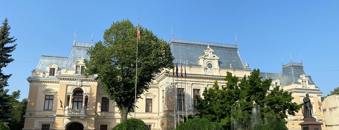 Palatul Roznovanu is one of RO.