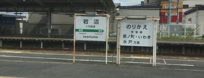 Iwanuma Station is one of 東日本・北日本の貨物取扱駅.