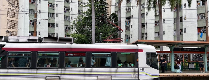 Light Rail Tai Hing (South) Station is one of MTR LRT Stops 港鐵輕鐵車站.