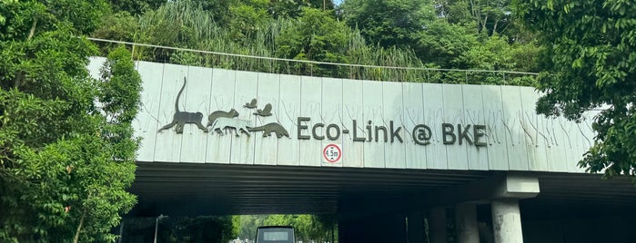 Eco-Link @ BKE is one of Intrepidity.