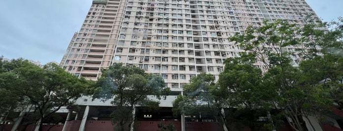 Tsui Ping (North) Estate is one of 公共屋邨.