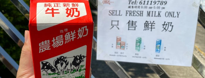 Farm Milk is one of Hong Kong To Try.