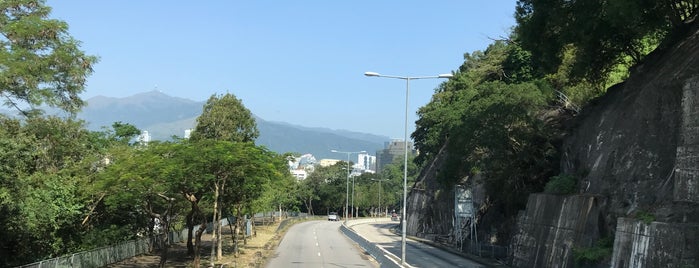 Castle Peak Road (Kwai Chung) is one of Castle Peak Road 青山公路.