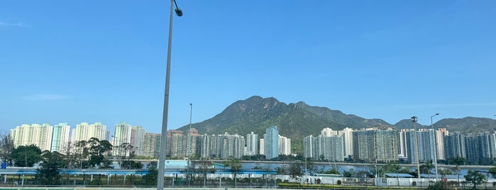 Ma Liu Shui Ferry Pier is one of 香港 埠頭.