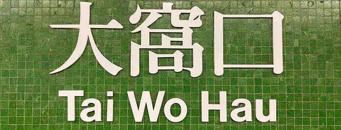 MTR Tai Wo Hau Station is one of 地鐵站.