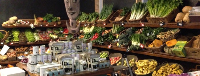 Organic Earth Food Store is one of Bondi.