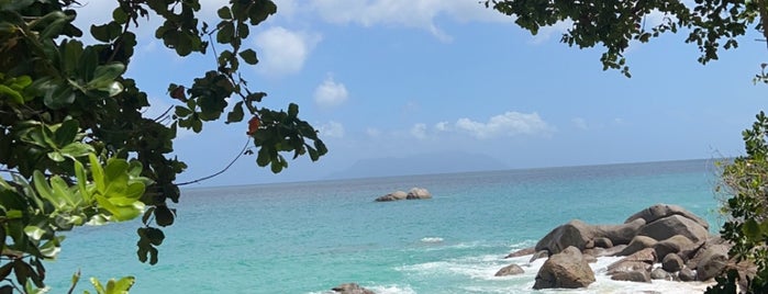 Praslin Island is one of Khalifaさんのお気に入りスポット.