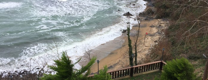 Çamburnu Balık Restaurant is one of Ordu'da En İyi 10 Lezzet Durağı.