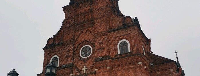 Костел Св. Розария Пречистой Девы Марии is one of Католическая церковь в России.