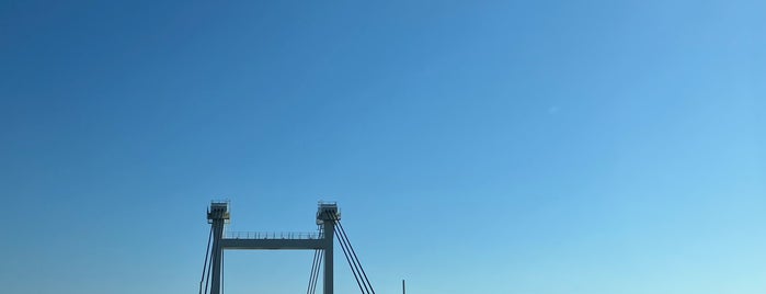 阿波しらさぎ大橋 is one of 土木学会田中賞受賞橋.