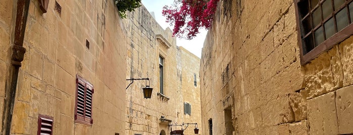 Moat of Mdina is one of Мальта.